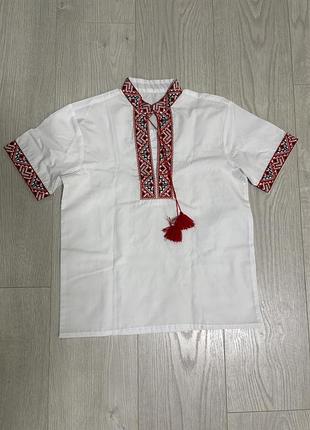 Вишиванки з коротким та довгим рукавом