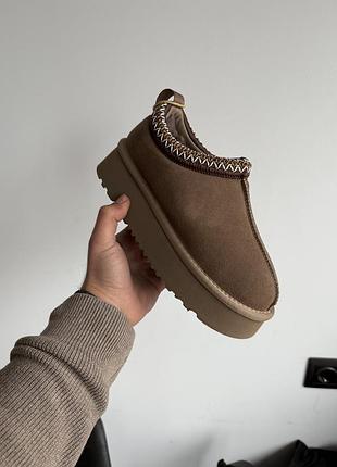 Сабо tasman моко