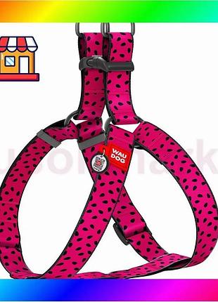 Bs шлей для собак best mix waudog nylon c qr паспортом, малюнок "кавун", пластиковий фастекс, xl, ш 35 bas77/n