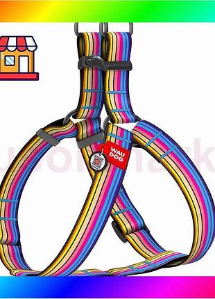 Bs шлей для собак best mix waudog nylon c qr паспортом, малюнок "лінія 1", пластиковий фастекс, xl, ш bas77/n