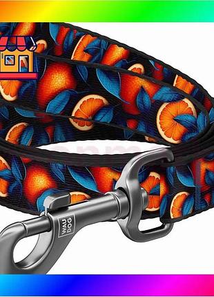 Bs поводок для собак best mix нейлоновый waudog nylon, рисунок "апельсины", s, ш 15 мм, дл 300 см bas77/n