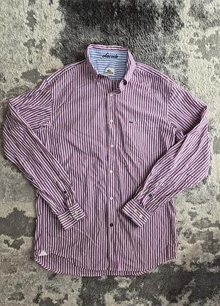 Рубашка лакоста, lacoste, размер 38, л, size l