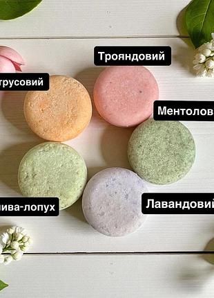Набір пробників твердого шампуню