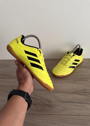 Футзалки бампи adidas оригінал