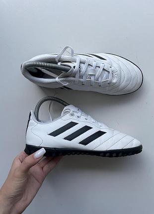 Сороконіжки adidas