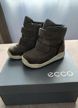 Зимові чобітки ecco