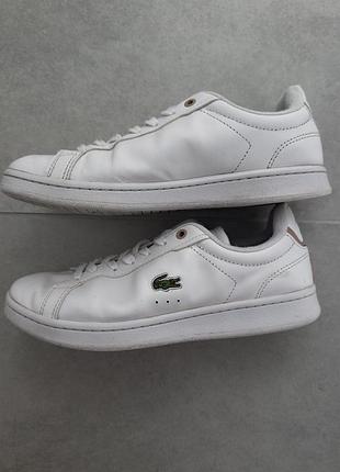 Кросівки lacoste