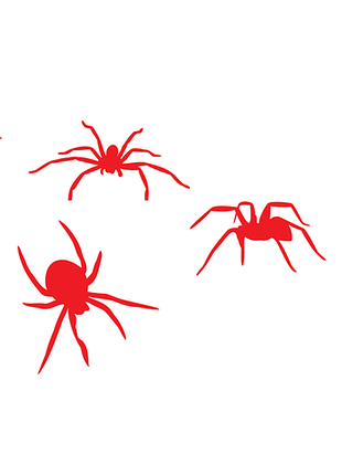 Наклейка на авто / фари / скло / кузов / " павуки - spiders " будь-який колір