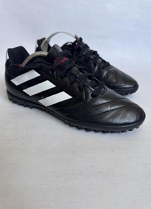 Сороконіжки adidas