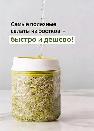 Проращиватель семян и микрозелени 8
