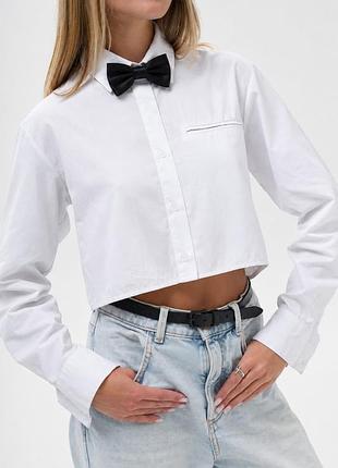 Жіноча класична краватка метелик without bow black