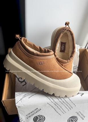 Уггі ugg оригінал
