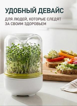 Проращиватель семян и микрозелени 2