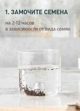 Проращиватель семян и микрозелени 3