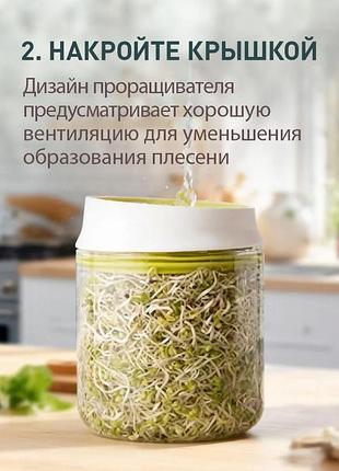 Проращиватель семян и микрозелени 4