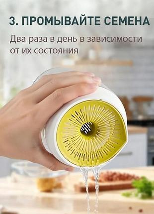 Проращиватель семян и микрозелени 5