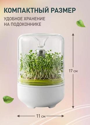 Проращиватель семян и микрозелени 9