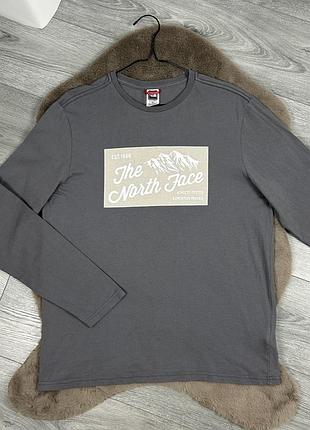 Чоловічий оригінальний лонгслів the north face