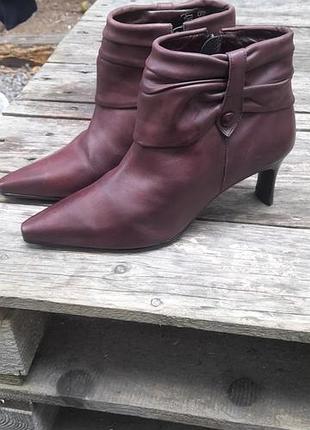 Шкіряні бордові ботильйони jones bootmaker, розмір 37 (устілка 24,5 см)