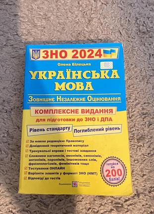 Зно 2024 рік