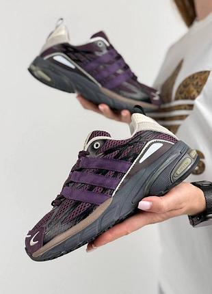 Женские кроссовки adidas adistar cushion x song for the mute purple grey