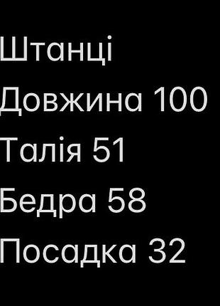 Штанці сірі карго джегінси 2