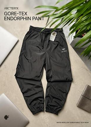 Чоловічі технологічні джогери arc'teryx gore-tex endorphin