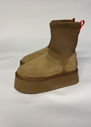 Ugg оригінал на високій підошві