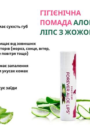 Гигиеническая помада алоэ липс