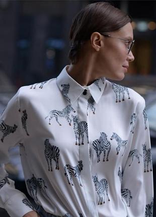 Рубашка зебра от zara 4