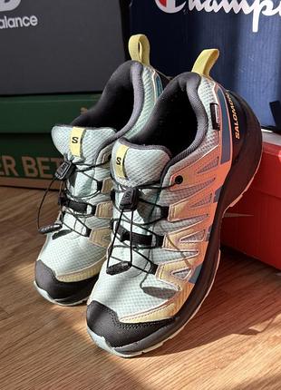 Salomon xa pro v8 gore-tex