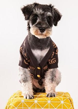 Кофта для собак gucci