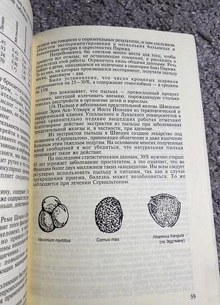 Пилок-чудо продукт 3
