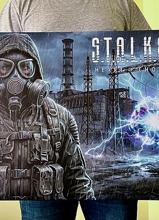 Холст s.t.a.l.k.e.r. 2 50х80, 50х70