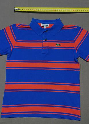 Плечи 31 см lacoste size 8 yrs 128 см сине красное поло 
100% cotton