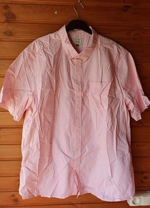 Сорочка з бавовни р.2xl