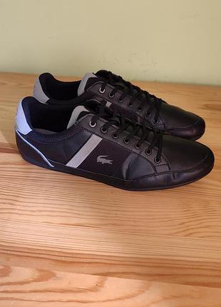Кроссовки lacoste chaymon 318