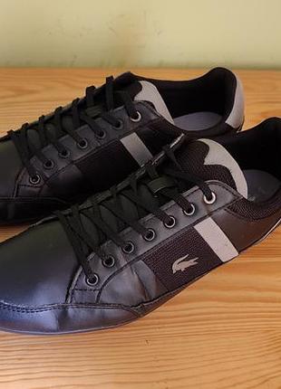 Кроссовки lacoste chaymon 318 2