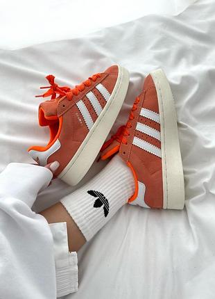 Adidas campus | « apricot crush » premium (1)