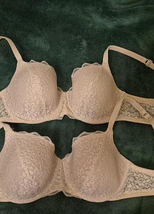 Лівчики tezenis