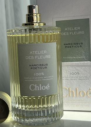 Chloe atelier des fleurs narcissus poeticus