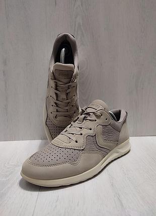 Кроссовки ecco 37 - стелька 23,5 см