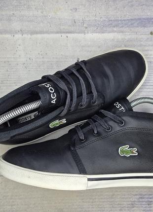 Кроссовки кеды lacoste