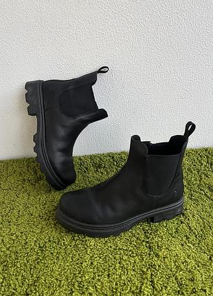 Черевики дитячі ecco