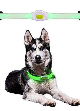Собачий нашийник led light petsaber maxi