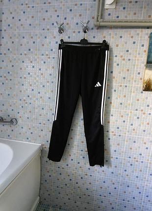 Спортивні штани adidas. 2