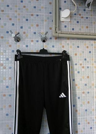 Спортивні штани adidas. 3