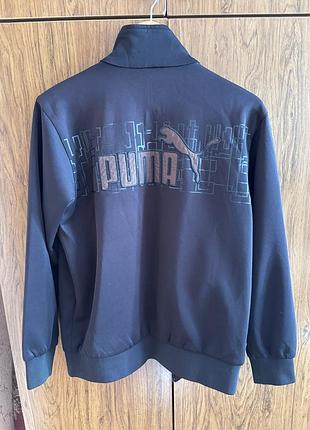 Чоловіча олімпійка puma 2
