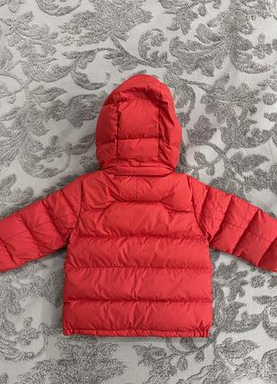Продам дитячий пуховик ralph lauren 2