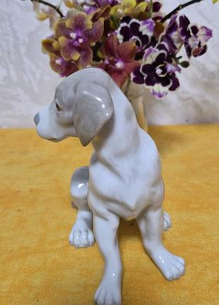 Сидящая собака статуэтка фарфор nao lladro 4